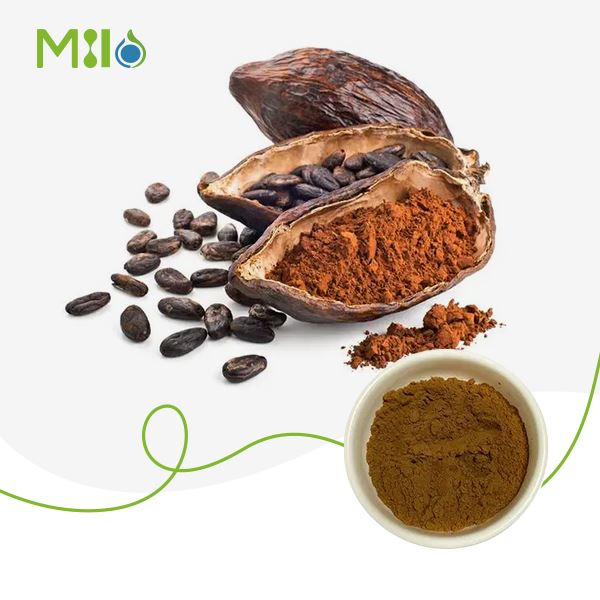 Cocoa Extract Powder