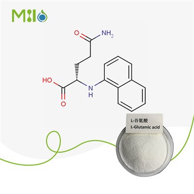 Najbolji L-glutamin u prahu