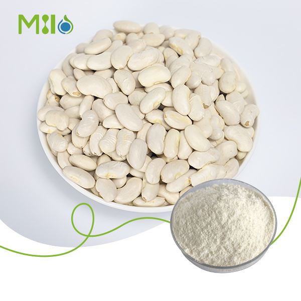 White Kidney Bean Extract Powder